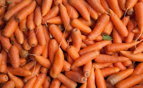 Carrot